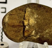 Native American/Man Made Authentic Hand Carved Ancient Stone Effigy, 2.5 oz picture