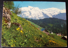 Post card: Engelberg, Switzerland posted  picture
