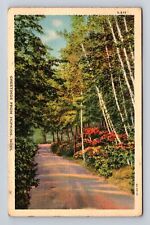 Hopkins MN-Minnesota, Scenic Greetings, Road, Antique, Vintage c1941 Postcard picture