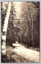 Road to Henderson's Camps. Big Wood Lake Back of Cottages Jackman Maine Postcard picture