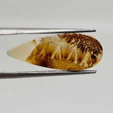 Shazar Dendrite Agate Cabochon 21x8 mm Natural Scenic Gemstone picture