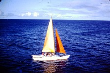 1950s Cool Sailboat Red Border Kodachrome Slide CK-I picture