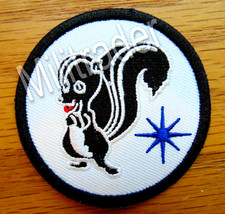 USAF Lockheed Skunk Works Advanced Development Programs APD Patch (Iron-on) 2.5