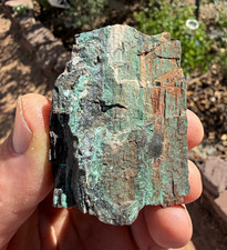 Copper mineralized petrified wood from southern Utah 3oz  picture