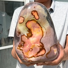 17.1LB Natural Polychrome Ocean Jasper Freeform Crystal Healing (Tadpole Totem） picture