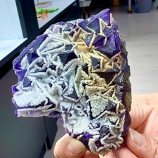 176g Rare blue purple dual color window frame fluorite mineral crystal/Zhejiang picture