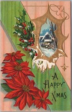 c1910s CHRISTMAS Embossed  Postcard House Scene / Poinsettia 