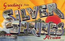 Silver Springs Florida FL Greetings From Large Letter 2B-H1460 Linen Postcard picture