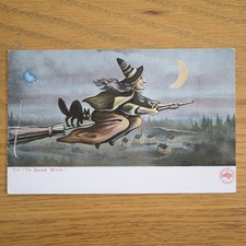 1906 RARE ORIGINAL ANTIQUE HALLOWEEN POSTCARD SALEM WITCH BROOM BLACK CAT MOON picture