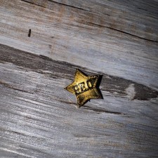 Vtg 1974 PEO Sisterhood Society 10K Gold Star Member Pin - Washington picture