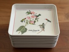 John James Audubon Columbian Humming Bird Melamine Dish Set of 8 ~ 5.5” ~ Italy picture