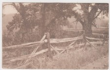 1911 Wooden Fence Country Side. Antique. The Flower of Pink Perfection. CRG RPPC picture