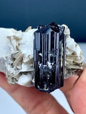 49 GM Terminated Black Tourmaline Crystal Combine With Feldspar & Mica Specimen picture