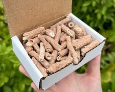 Fulgurite Crystals Collection Box: 1/2 lb Natural Lightning Formed Fulgurite picture