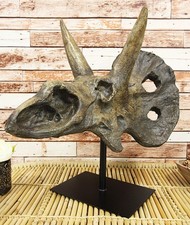 Ebros Prehistoric '3 Horns' Triceratops Dinosaur Fossil Skeleton Statue 22