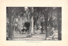 1902 BALDWIN'S RANCH Pasadena CA Los Angeles County History ANTIQUE ILLUSTRATION picture