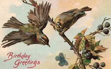 Birthday Greetings Birds Resting Best Wishes And Greetings Vintage Postcard picture