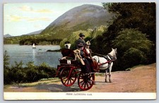 Antique Ireland Postcard DUBLIN Irish Jaunting Car Horse Buggy picture