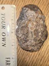 Fairburn Agate Rock Gem Stone Mineral 262 grams nice host agate large solid picture