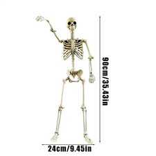 Halloween Life Size Human Skeleton 90cm Posable Joints Haunted House Prop picture