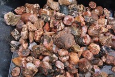 Morocco Berber Agate 5 lb Random pull rough lot picture