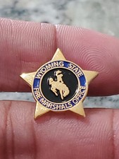 RARE Wyoming State Fire Marshals Office Pin picture