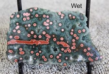 Ocean Jasper Slab Red Orbs Crystalline green Collector Lapidary vugs picture