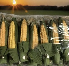 Longaberger Faux Corn (7)  For JW Miniature Corn Basket picture