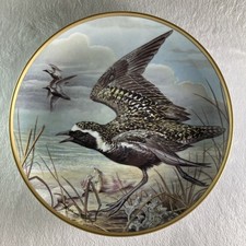 AMERICAN GOLDEN PLOVER Plate Water Birds of the World Basil Ede Pluvialis domini picture