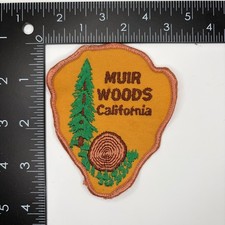 Vintage Muir Woods California Patch National Monument Pine Tree picture