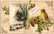 Vintage 1907 Christmas Postcard Bird Holly Snowy Winter Scene picture
