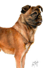 ❦ ORIGINAL Oil Portrait Painting BRUSSELS GRIFFON Artist Signed Dog Artwork Art picture
