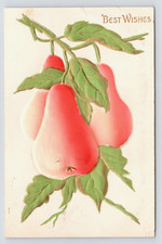 c1909 Airbrushed Pears Fruit Postcard Chanhassen MN Embossed Made in Germany picture