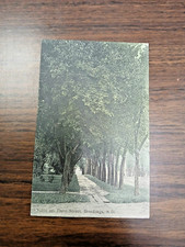 Vintage 1908 Postcard Scene on Third Street Brookings SD South Dakota Trees picture