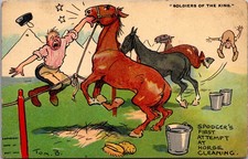 1912 Tom Browne Spodger Horse Cleaning Humor Vintage Postcard 4P22-21 picture