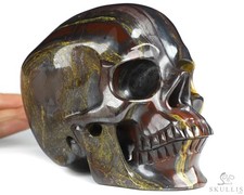Super Realistic Lifesized 6.5