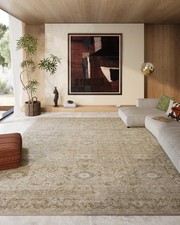 8x10 Area Rugs for Living Room: Washable Rugs for Bedroom Non Slip Carpet picture