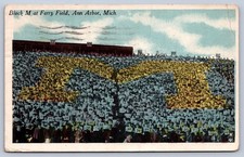 WA1/ University Michigan Ann Arbor Postcard c1910 Ferry Field Stadium 