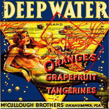 Deep Water Oranges Okahumpka Florida Mermaid Fruit Crate Label Art Print 8x8 picture