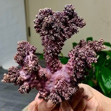 296G  Rare purple iridescent Native Copper crystal mineral specimen picture