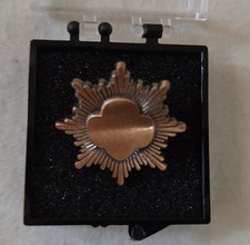 Vintage Pre - 2011 Girl Scout BRONZE AWARD PIN Junior Highest Award New in Box picture