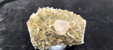 FLOURITE : PINK ON MICA, PAKISTAN, SULAIMAN FOLDBELT.  528g picture