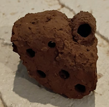 Brown Porous WASPS NEST Stone Specimen Display Piece w/ Multiple Holes *READ* picture