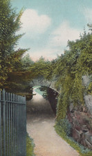 The Tunnel in Cliff of Newport Rhode Island Undivided Back Vintage Post Card picture