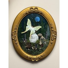 Real Moon Moth Shadow Box 18x14 Antique Bubble Glass Oval Frame Signed Art 1of1 picture