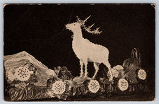 Vintage Postcard, 1907-1914, Deer picture