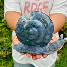 1.4LB  Natural Ocean Agate Snail Hand Carving Gemstone Ornament Home Decoration picture