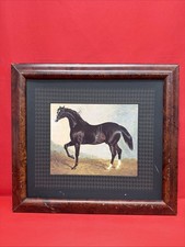 Vintage Framed Black Horse Print Equestrian Wall Art 20.5x18.5” Rustic Decor picture