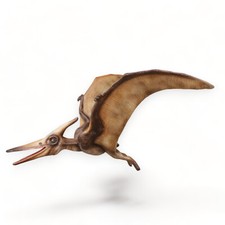 Pterodactyl Flying Large Dinosaur Statue Life Size Dino Hanging Indoor Outdoor picture
