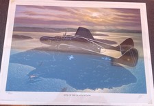 Signed Bite of the Black Widow Print Stan Stokes P-61 Night Fighter With COA picture